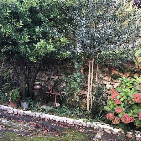 La Casa Verde B&B Trivero Εξωτερικό φωτογραφία